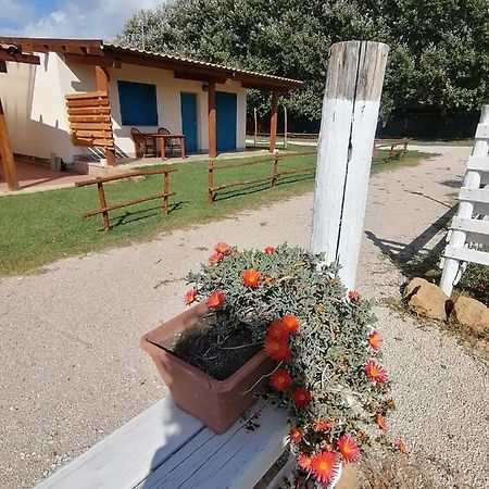 Agriturismo Oca Giuliva Lido dei Pini Eksteriør billede