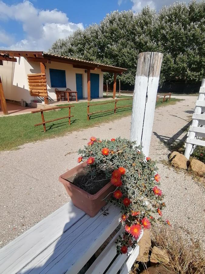 Agriturismo Oca Giuliva Lido dei Pini Eksteriør billede